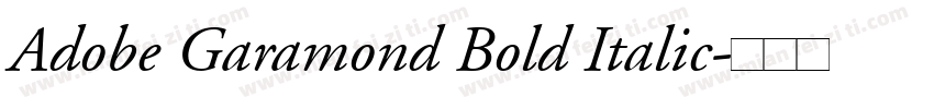 Adobe Garamond Bold Italic字体转换